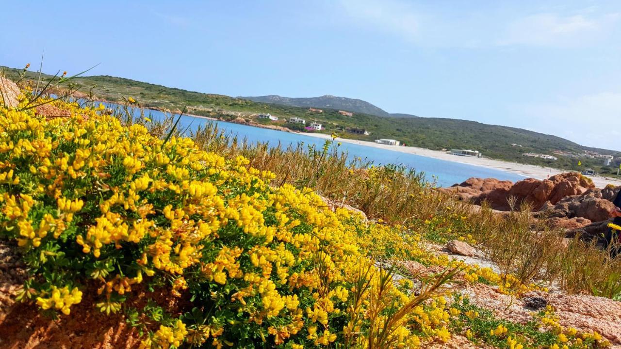 Casa Vacanza Costa Rossa Vista Mare Trinita d'Agultu e Vignola Ngoại thất bức ảnh