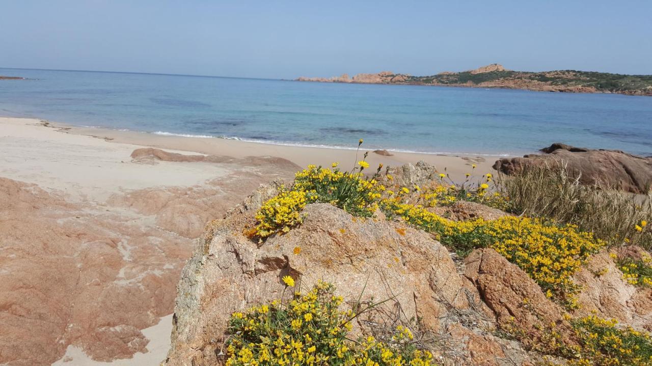 Casa Vacanza Costa Rossa Vista Mare Trinita d'Agultu e Vignola Ngoại thất bức ảnh